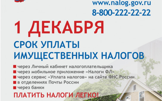 1 декабря срок уплаты имущественных налогов