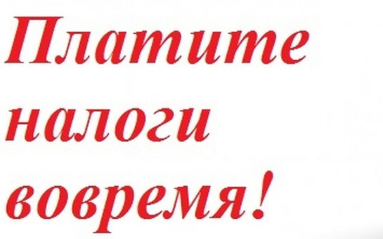 ДОЛЖНИКИ ПО НАЛОГАМ!!!!!!!